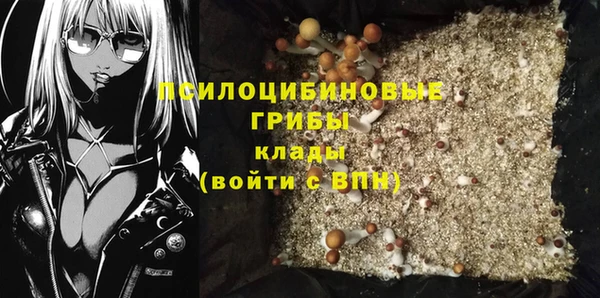 стафф Нефтекумск