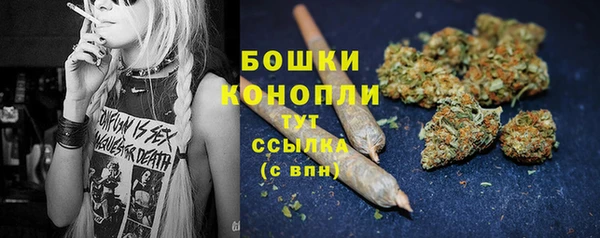 стафф Нефтекумск