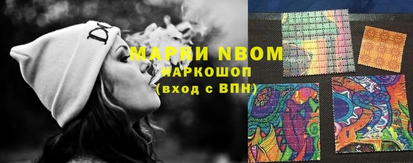 стафф Нефтекумск