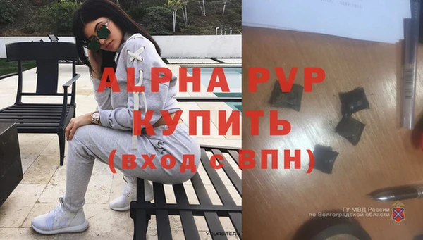стафф Нефтекумск