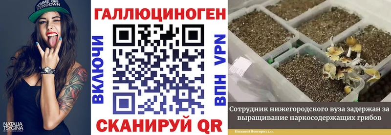 Галлюциногенные грибы Psilocybe  KRAKEN как зайти  Сурск  магазин продажи наркотиков 